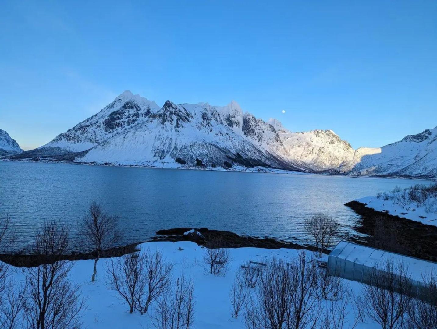 Nydelig Hytte Med Fantastisk Beliggenhet Ved Sjoen Villa Laupstad Eksteriør billede